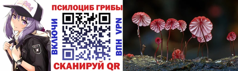 Псилоцибиновые грибы мухоморы где найти Барабинск