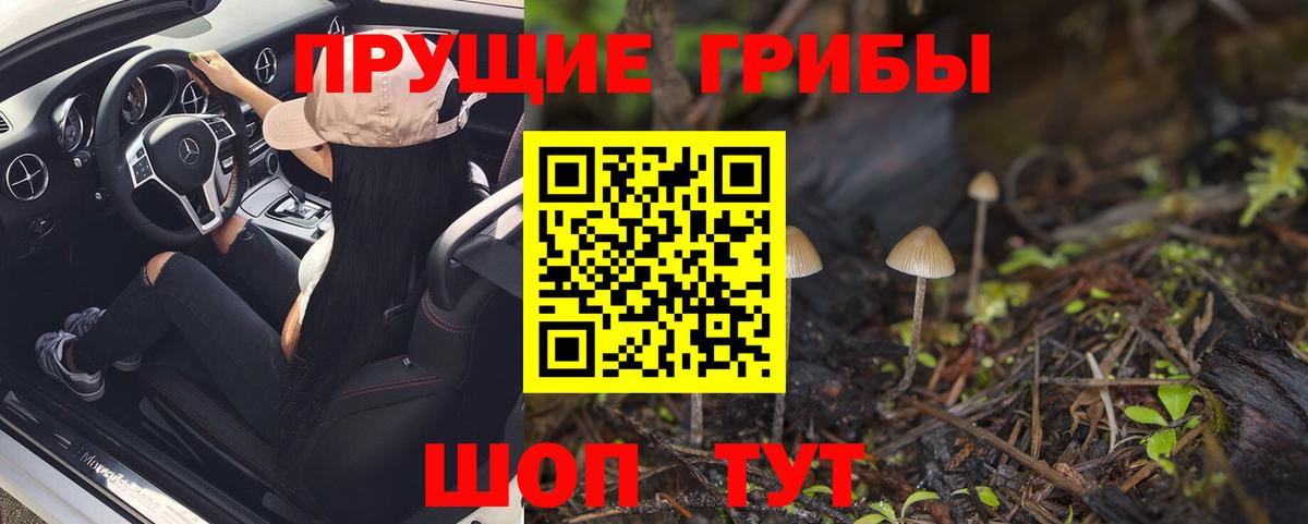 Галлюциногенные грибы прущие грибы  Галлюциногенные грибы MAGIC MUSHROOMS  Барабинск  Вход с VPN 